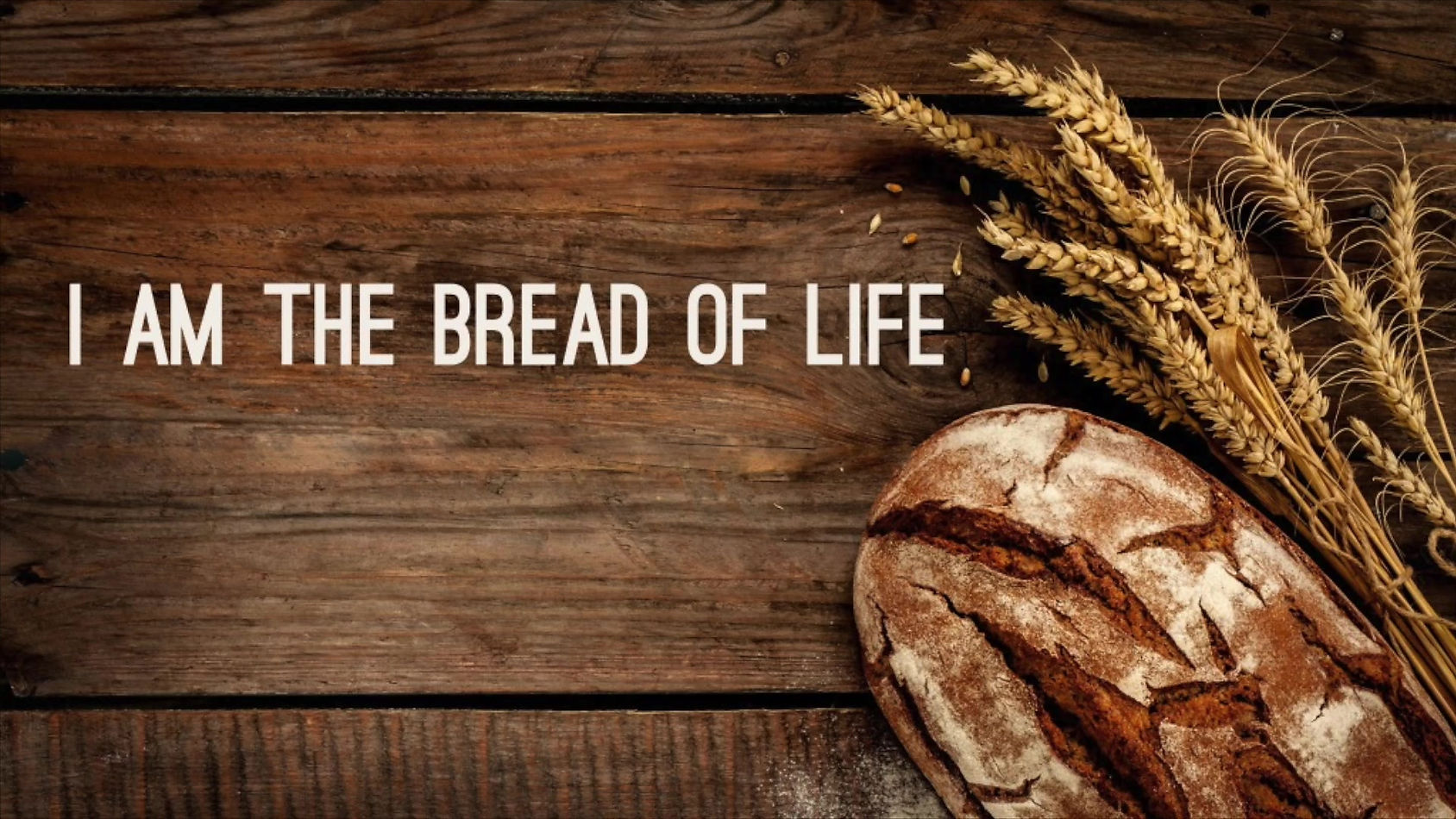 Bread of Life Part 2